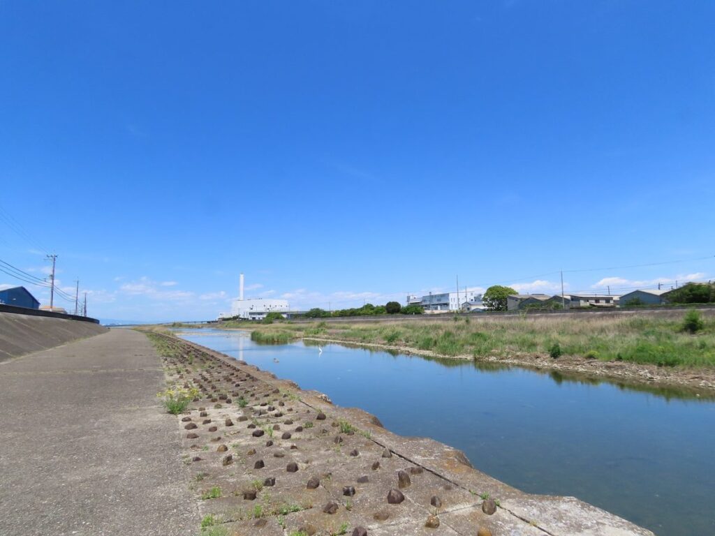 男里川河口・大阪府内唯一の自然
干潟
コアジサシの営巣地