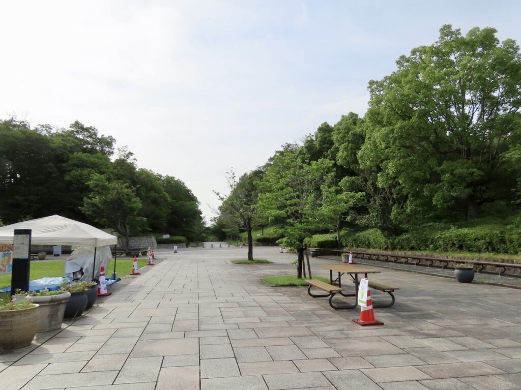 早朝の馬見丘陵公園の風景