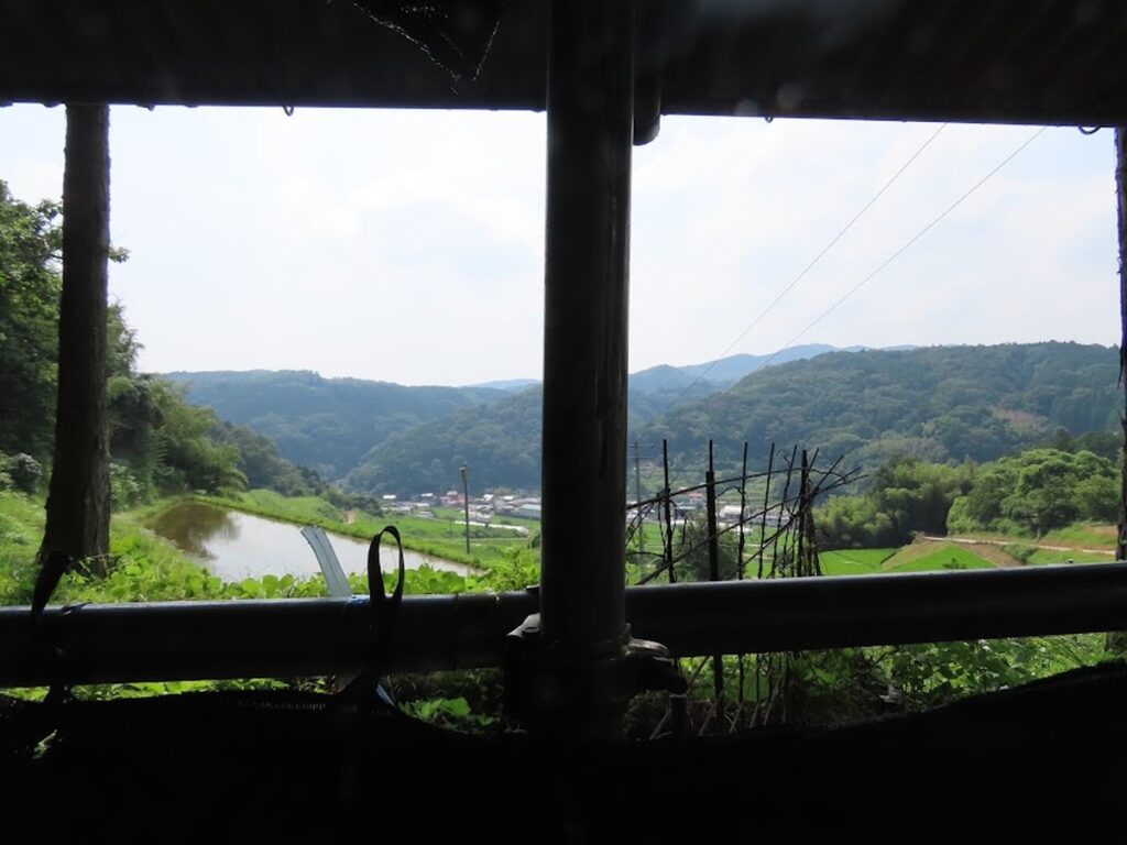 ブッポウソウ観察所のある腰痛地蔵尊横山様