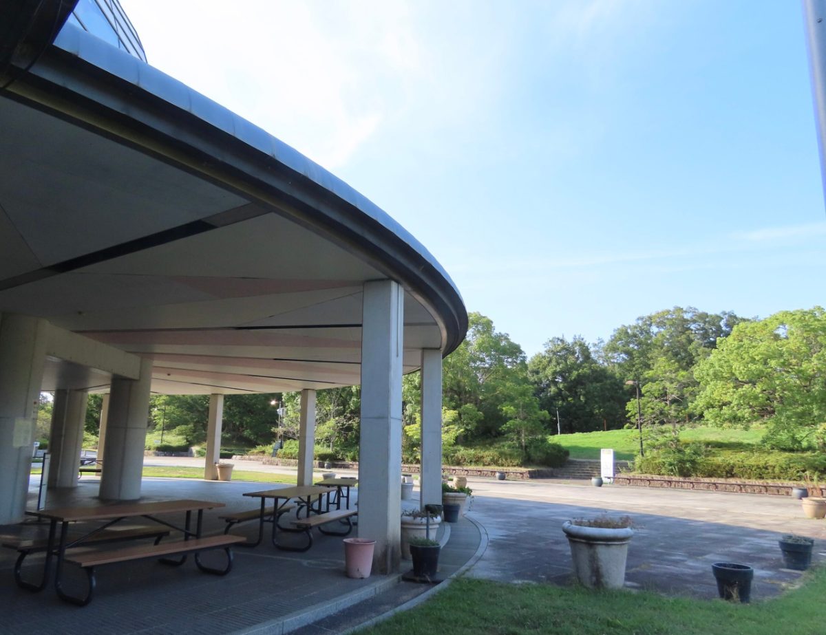 早朝の馬見丘陵公園の入口、朝の光が差す木立の道