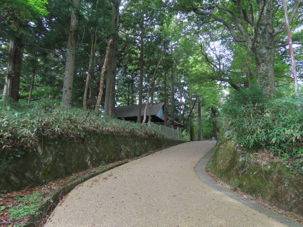 大和葛城山の山頂へ続く杉林のなだらかな遊歩道